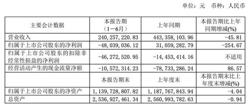 技術(shù)轉(zhuǎn)讓未能扭轉(zhuǎn)頹勢(shì)，空港股份2023上半年由盈轉(zhuǎn)虧凈損4804萬(wàn)