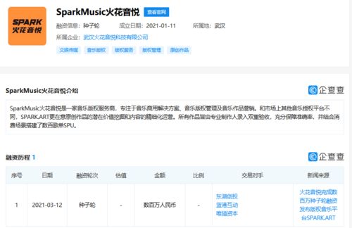 火花音悅獲數百萬種子輪融資，以數據處理服務為引擎，加速音樂版權市場布局